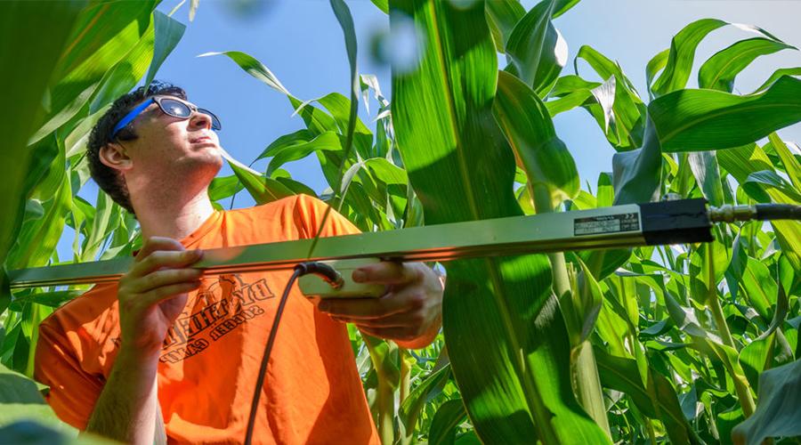 male in field with equipment