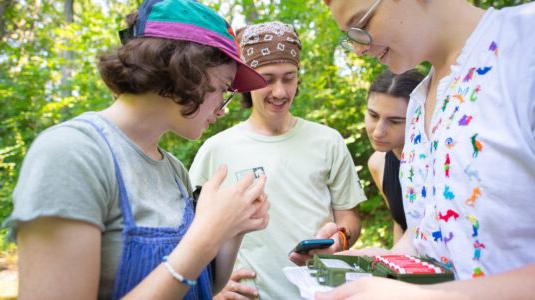 students work in forest