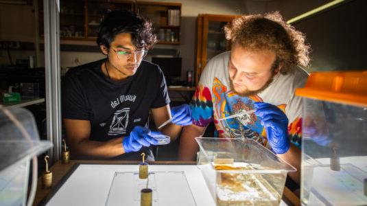 Simon Bissett ’26 and Ph.D. candidate Sohum Kapadia conduct experiments in Professor Arshad Kudrolli’s physics lab.